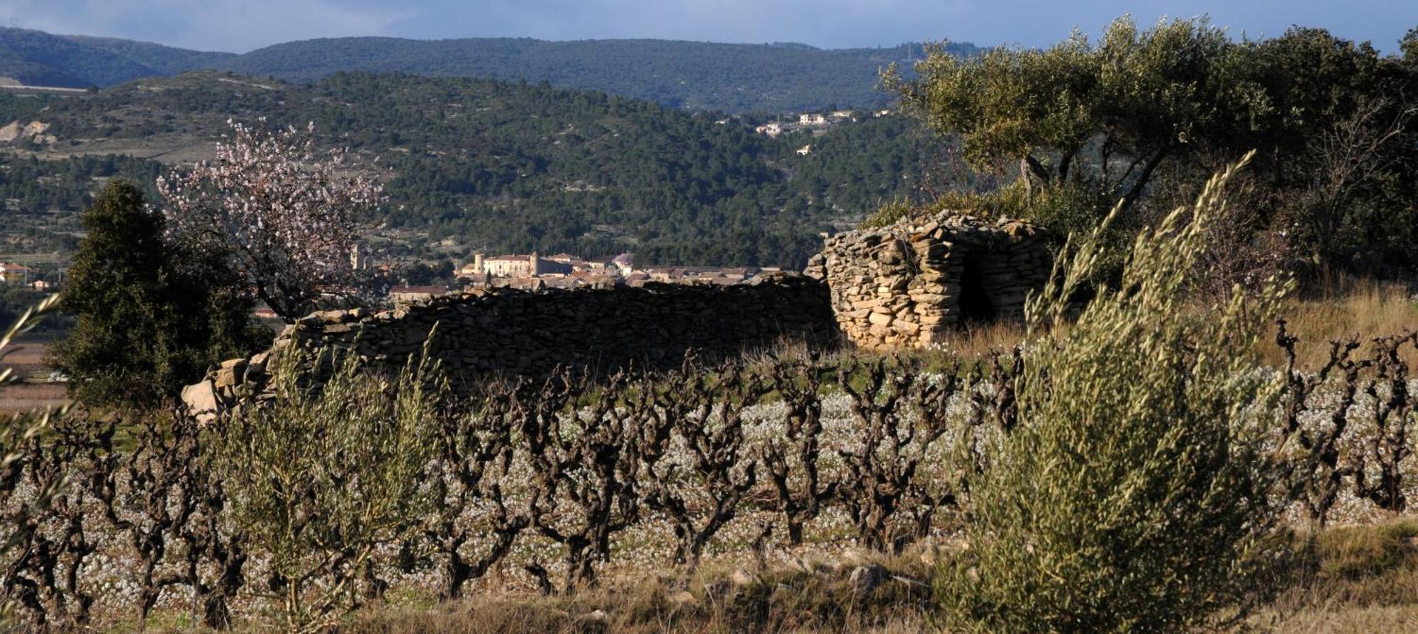 Maison Vigneronne De Bonne Maman - Climatisee Cesseras Buitenkant foto